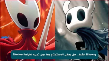 Silksong فقط.. هل يمكن الاستمتاع بها دون تجربة Hollow Knight؟